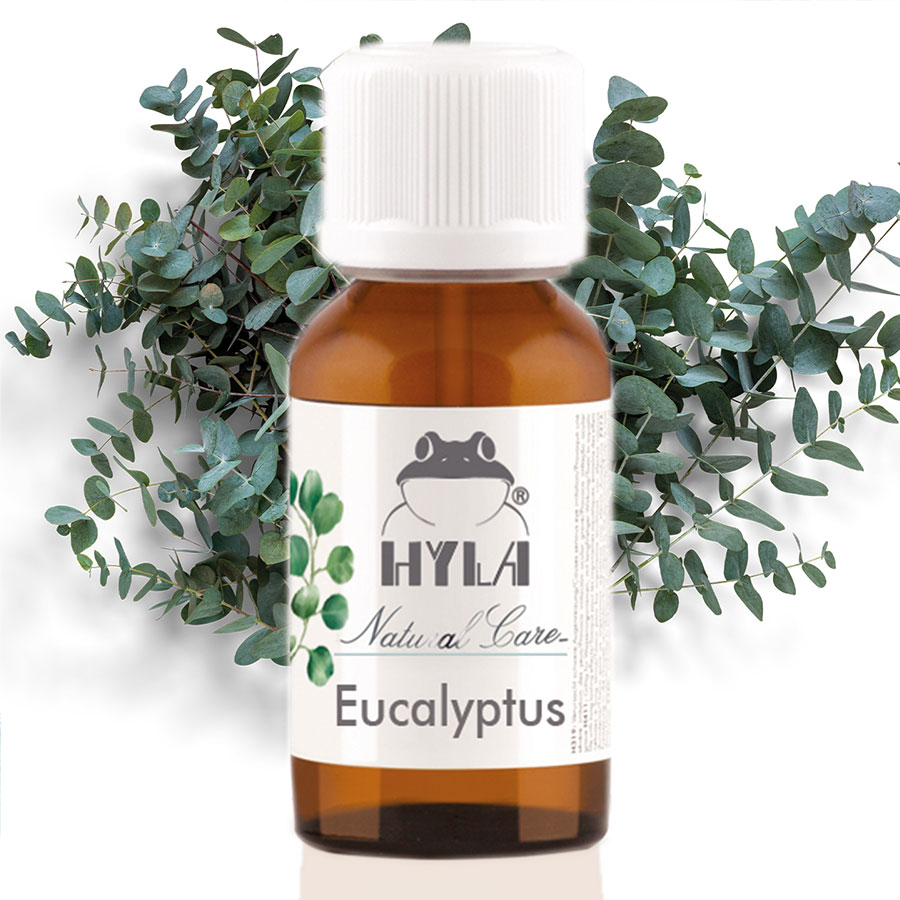 Essential Oil Eucalyptus