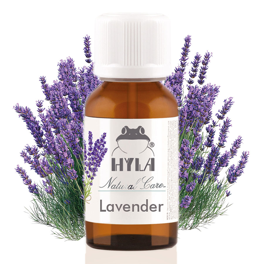 Essential Oil Lavender